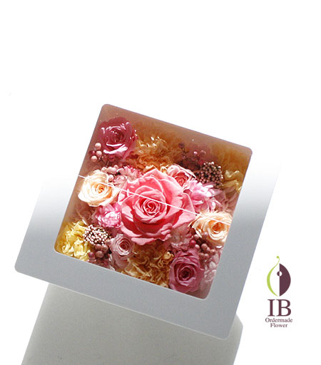 フレーム スライド式でガラス