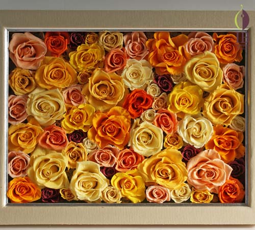 バラプリザーブド プリザードフラワー