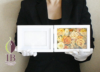 手に持った感じ