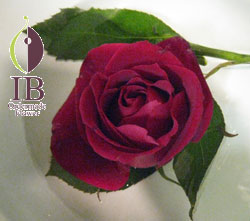 プリザーブドフラワ- 誕生日