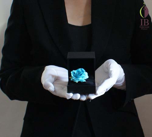 手に持った場合の大きさの比較 手に持った感じ