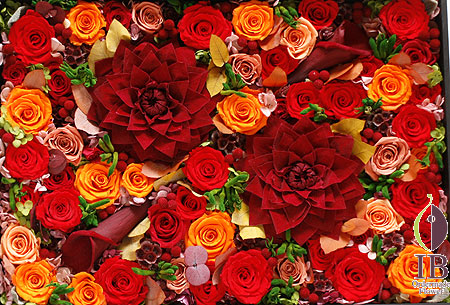 プリザ プレタポルテダリア