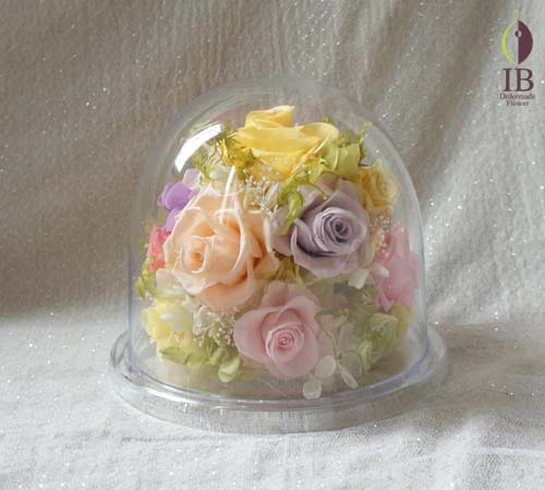 ドーム装飾 ドーム装飾プリザーブド