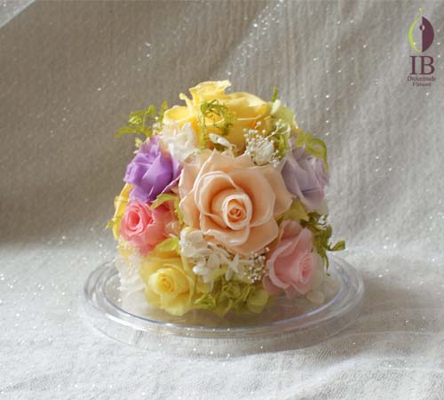 ドームをはずしてアップ ドームをはずしてアップ