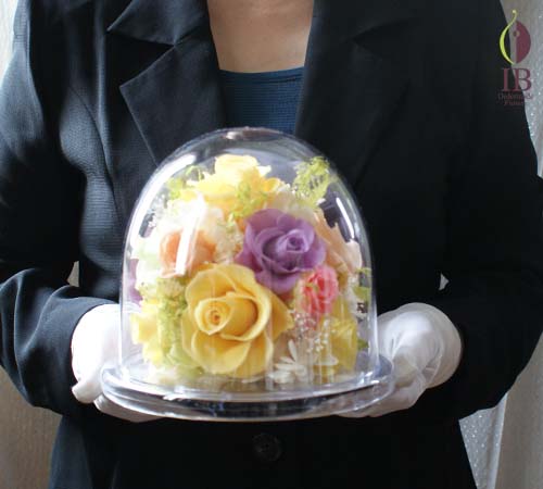 手に持った場合の大きさの比較 手に持った感じ