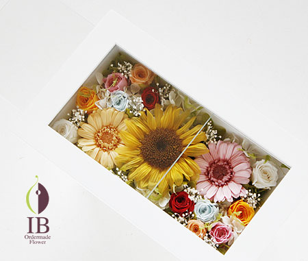 フレーム スライド式でガラス