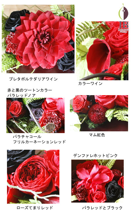 プリザードフラワー プレタポルテダリア ワイン