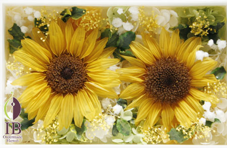 プリザ ヒマワリ