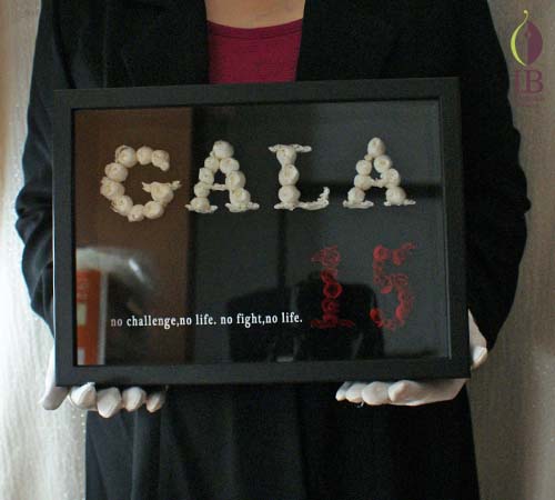 手に持った場合の大きさの比較 手に持った感じ