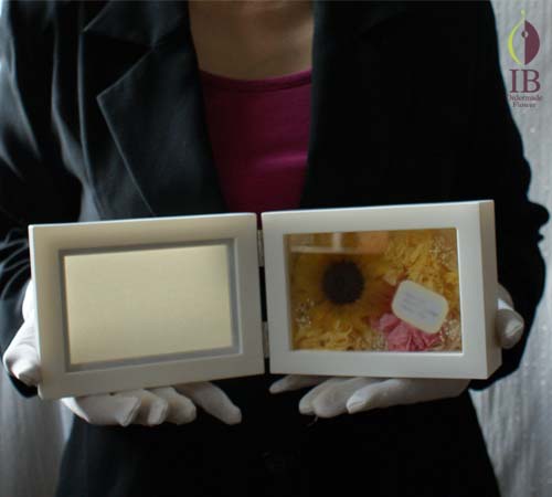 手に持った感じ