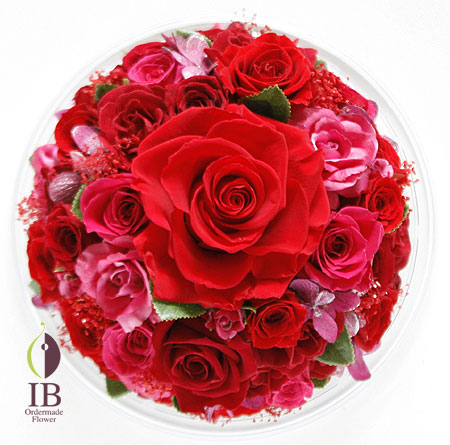 プリザ　バラ　チェリーレッド