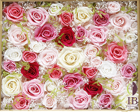 プリザ バラ ベイビーピンク