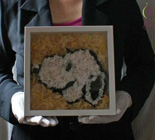 手に持った場合の大きさの比較 手に持った感じ