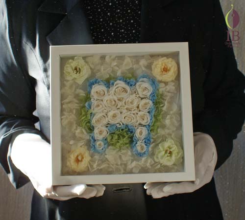 手に持った場合の大きさの比較 手に持った感じ