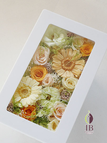 フレーム　スライド式でガラス