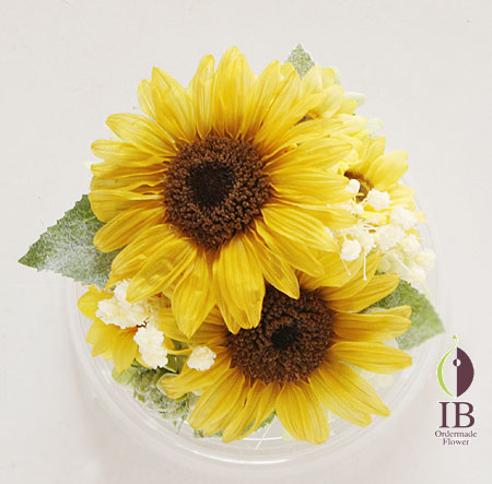 プリザーブド ひまわり