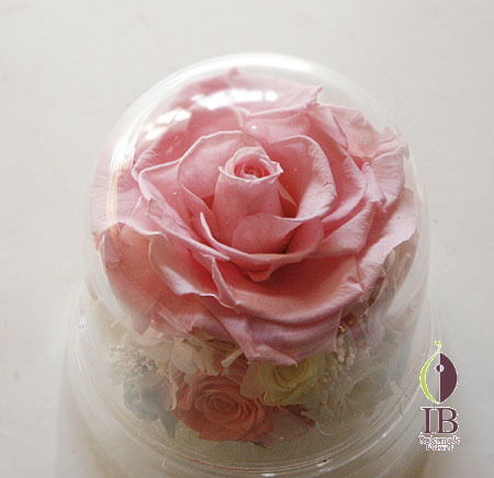 プリザ バラ ピーチネクター