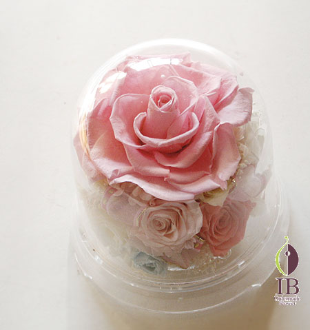 プリザ バラ ベイビーピンク