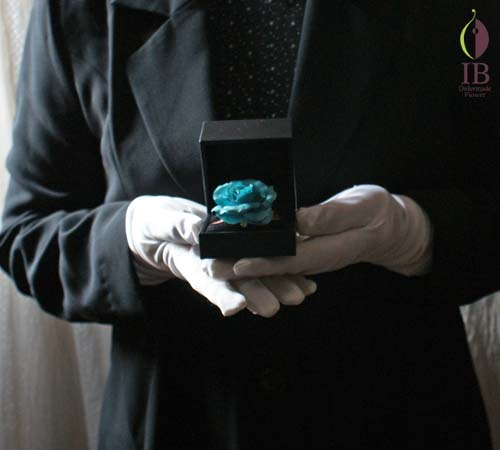 手に持った感じ