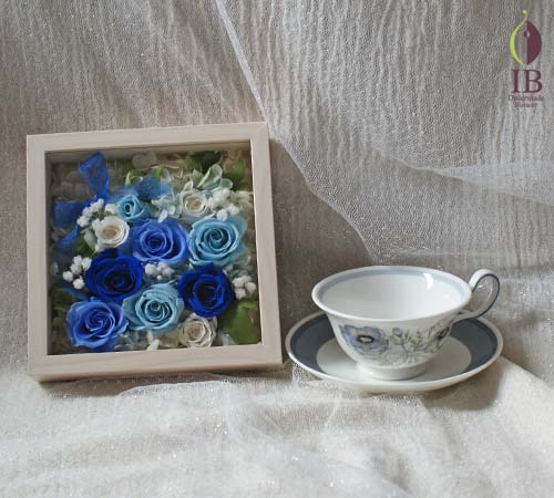 コーヒーカップとの大きさの比較 コーヒーカップとの大きさの比較