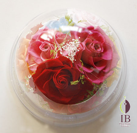 プリザ プロポーズ