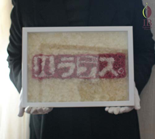 手に持った感じ 手に持った感じ