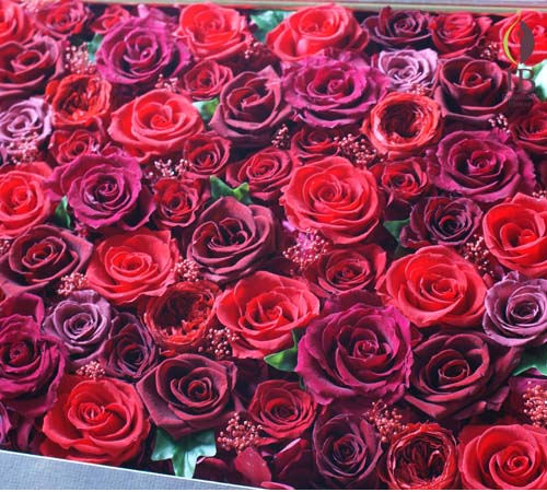 バラ60輪入りプリザーブド プリザードフラワー