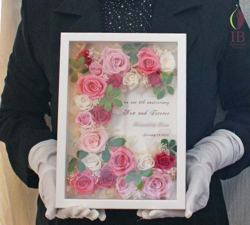 手に持った場合の大きさの比較 手に持った感じ