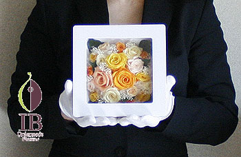 手に持った感じ