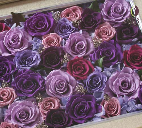 喜寿御祝用フレーム
喜寿御祝用フレーム