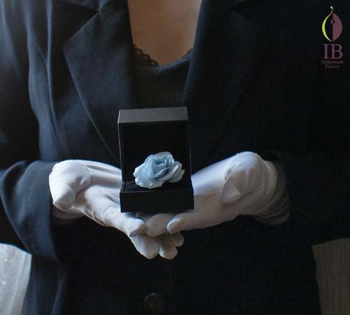 手に持った場合の大きさの比較 手に持った感じ