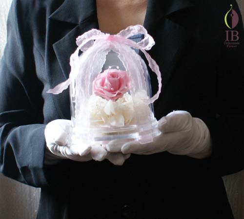 手に持った感じ