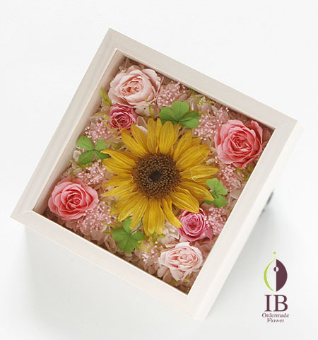 プリザーブフラワー バラ キャンディピンク