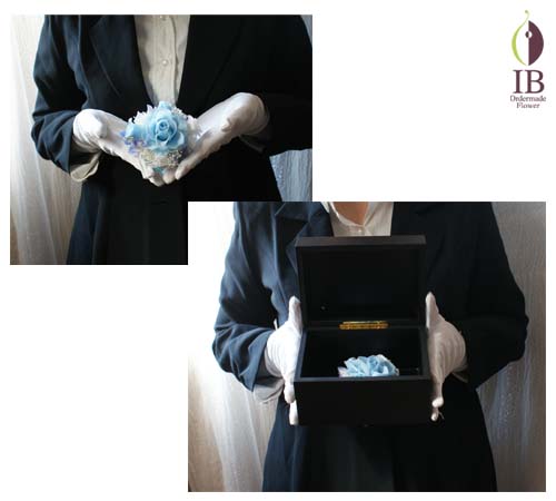 手に持った感じ 手に持った感じ