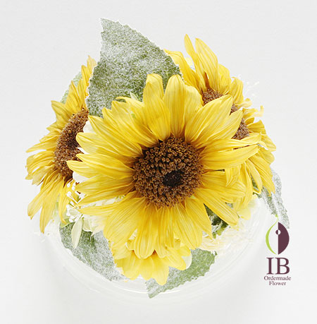 プリザーブド ひまわり