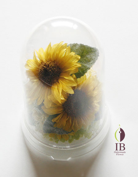 プリザ サンフラワー