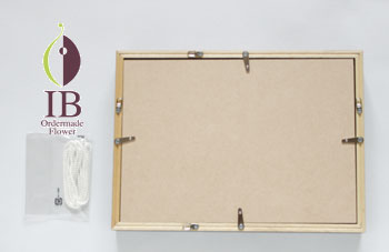 フレーム 後ろ側