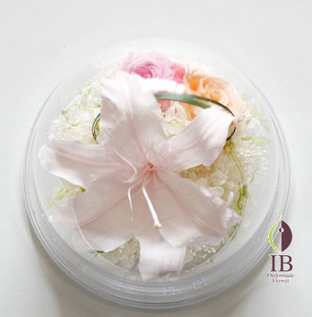 プリザードフラワー カサブランカ シェルピンク