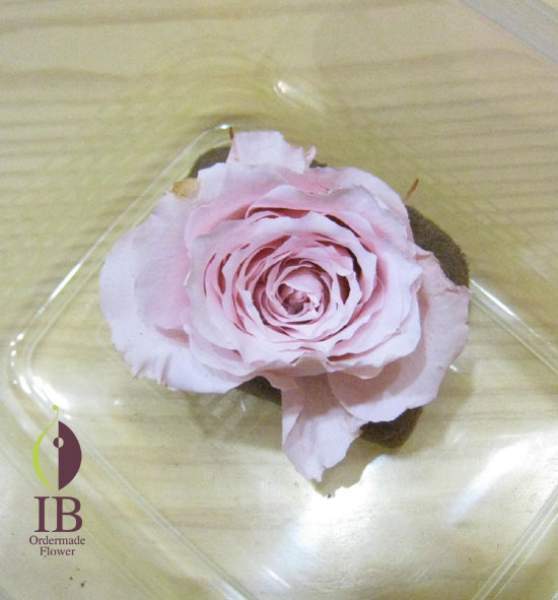 ぶりザーブド加工　乾燥